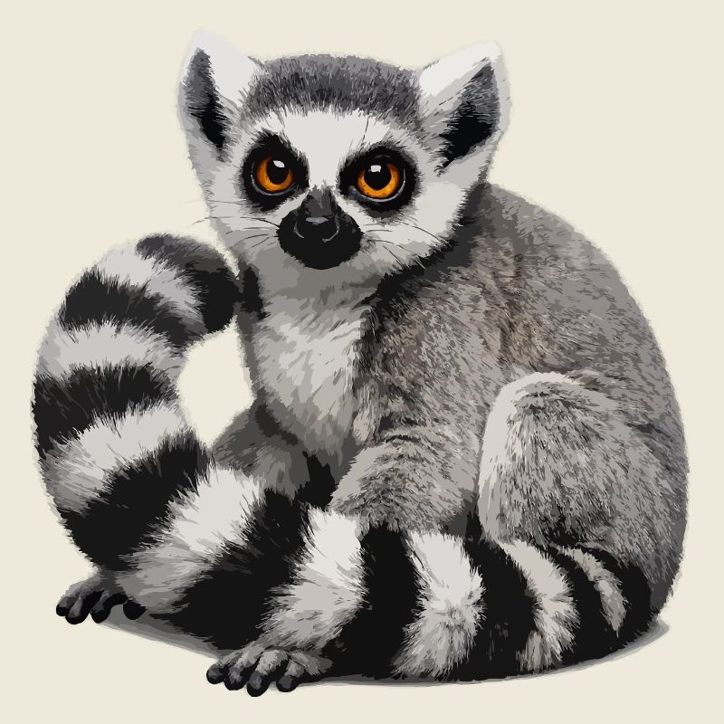 Illustration des Ringschwanz-Lemuren
