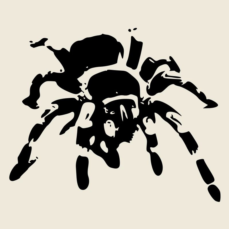 araignée