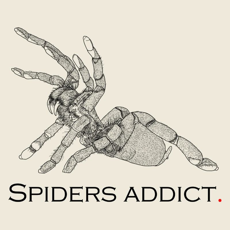 Spiders addict