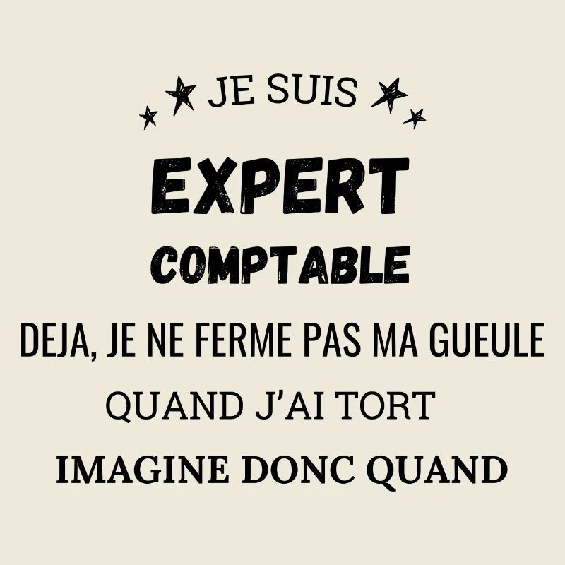 I am a Chartered Accountant