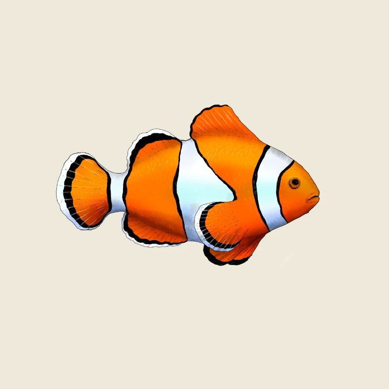PAYASO FISH
