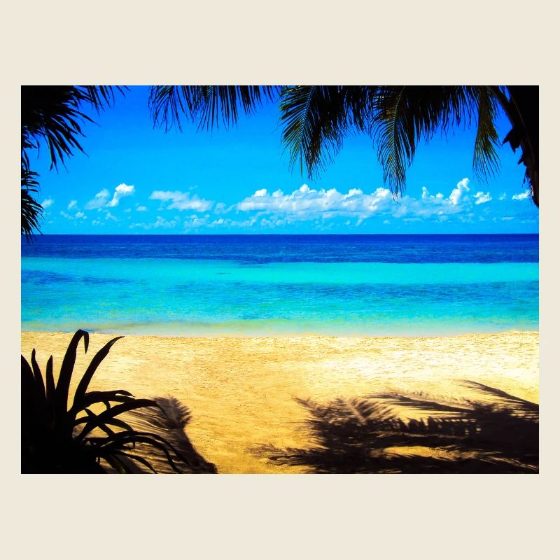 PLAGE PARADISIAQUE