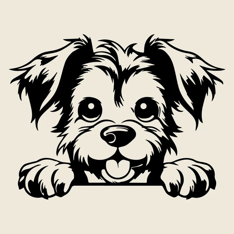 Terrier
