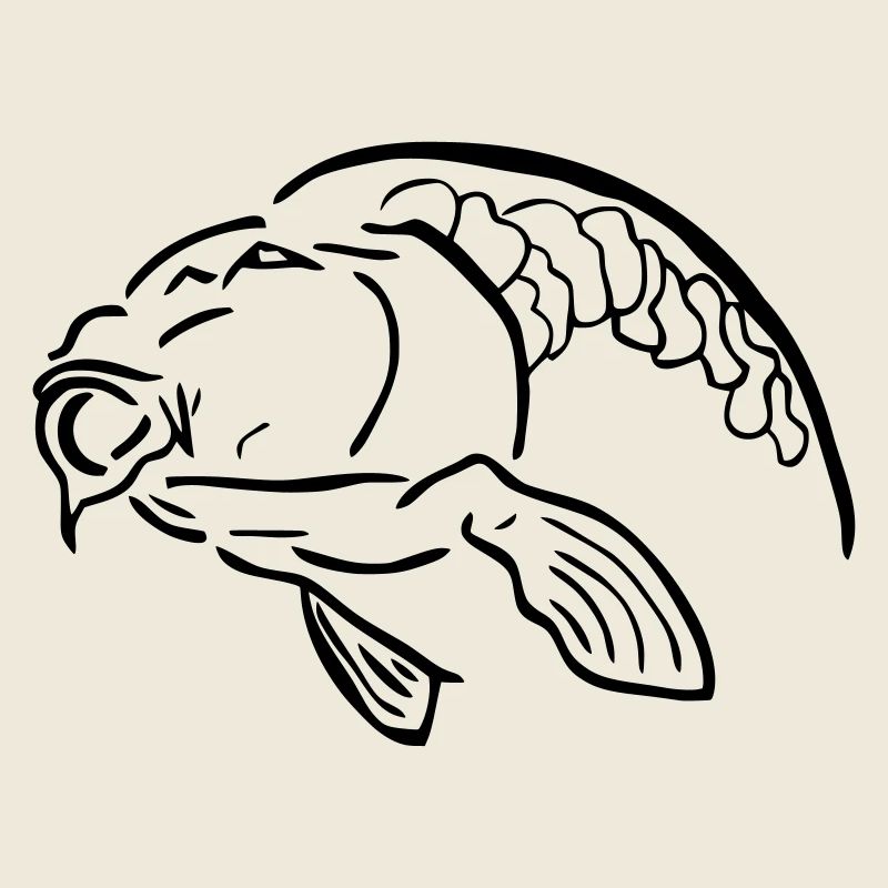 carp4