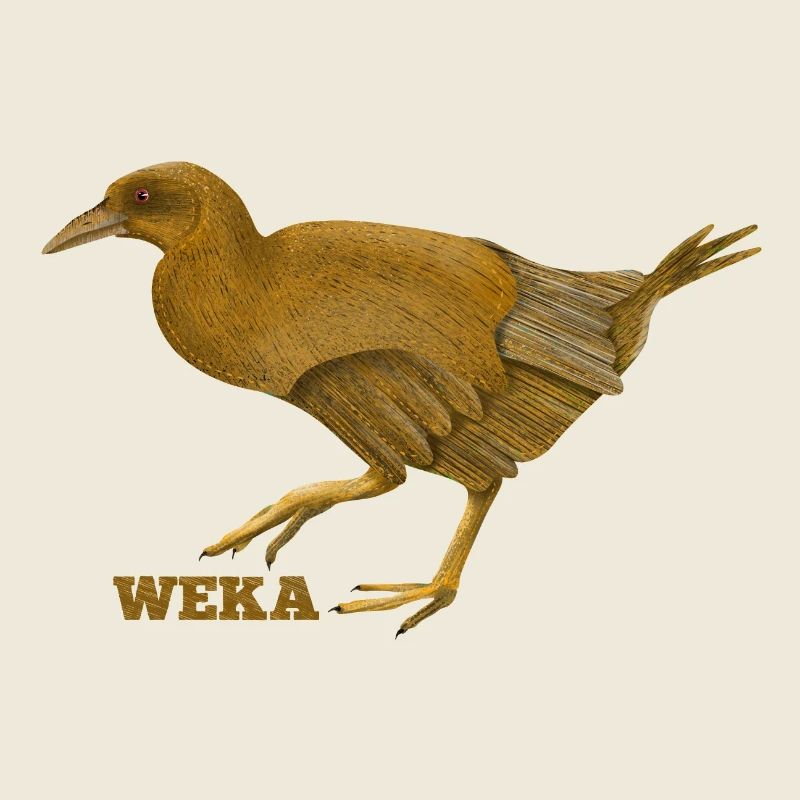 Weka Neuseeländischer Vogel