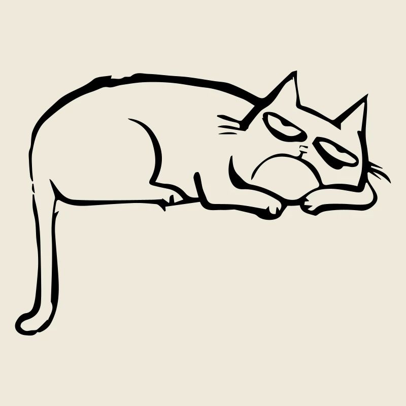 funny cat