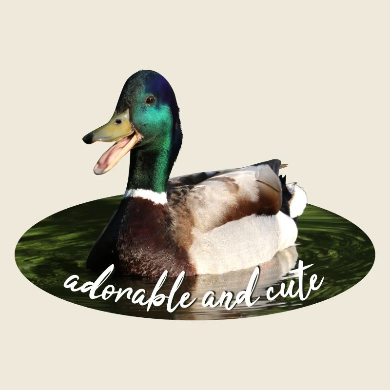 Canard colvert