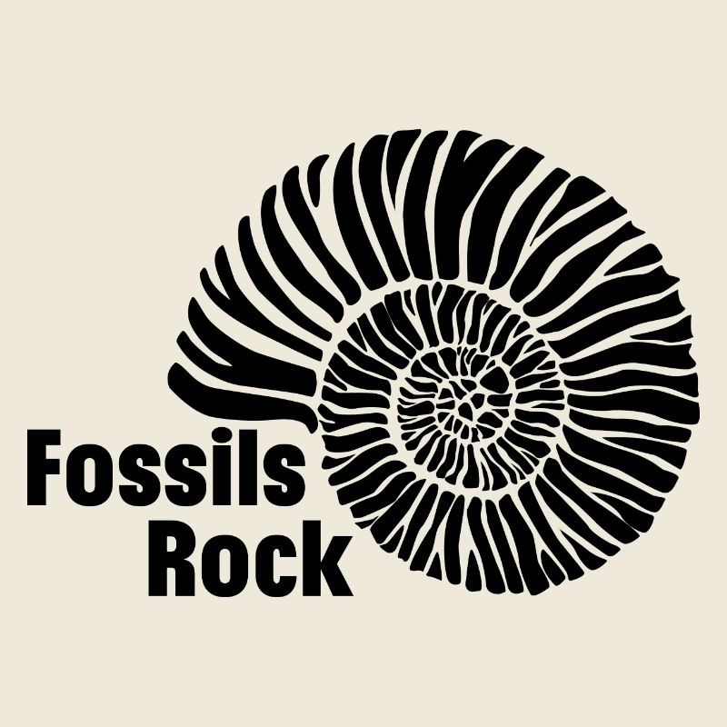 Fossils Rock - Fosssil Hunter - Paleontology