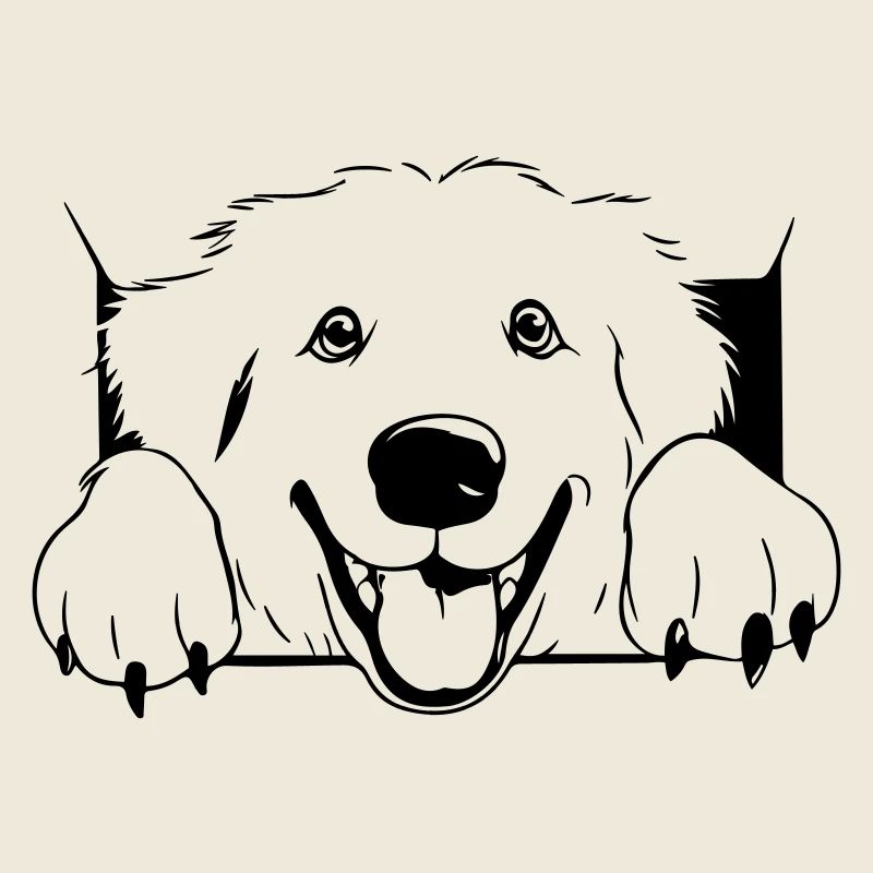 Pyrenean Mountain Dog