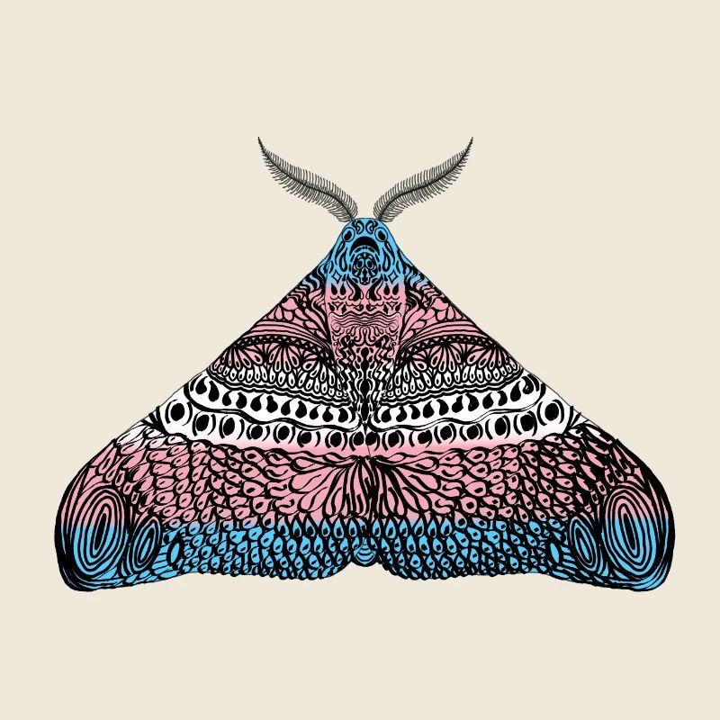 Transgender pride Motte