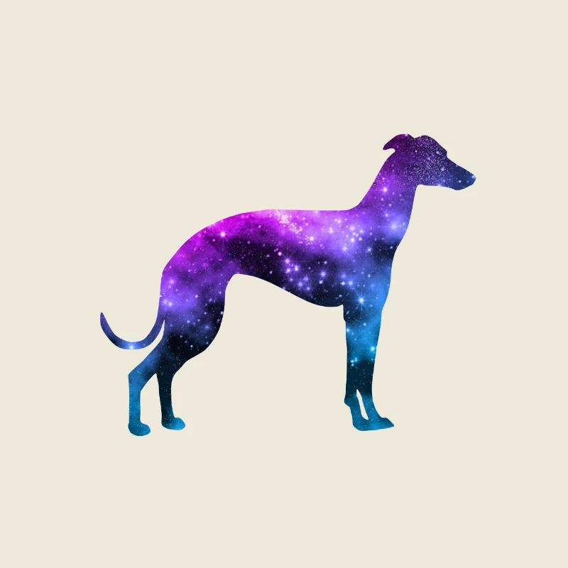 Chien de l'espace