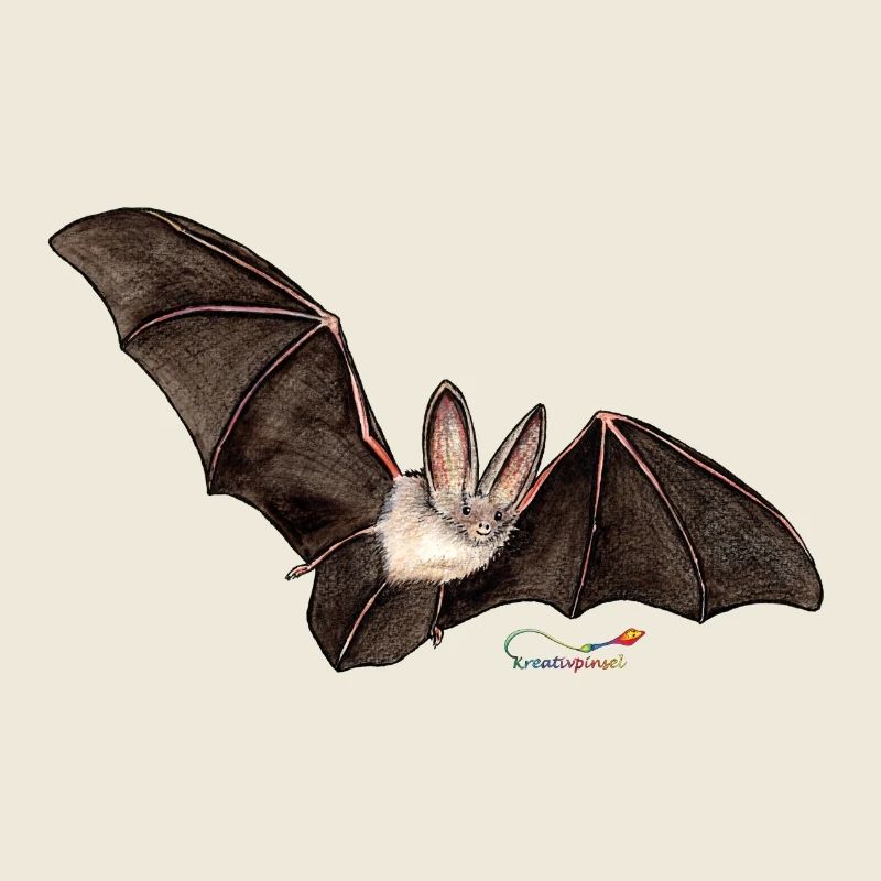 Oreille de souris, une chauve-souris