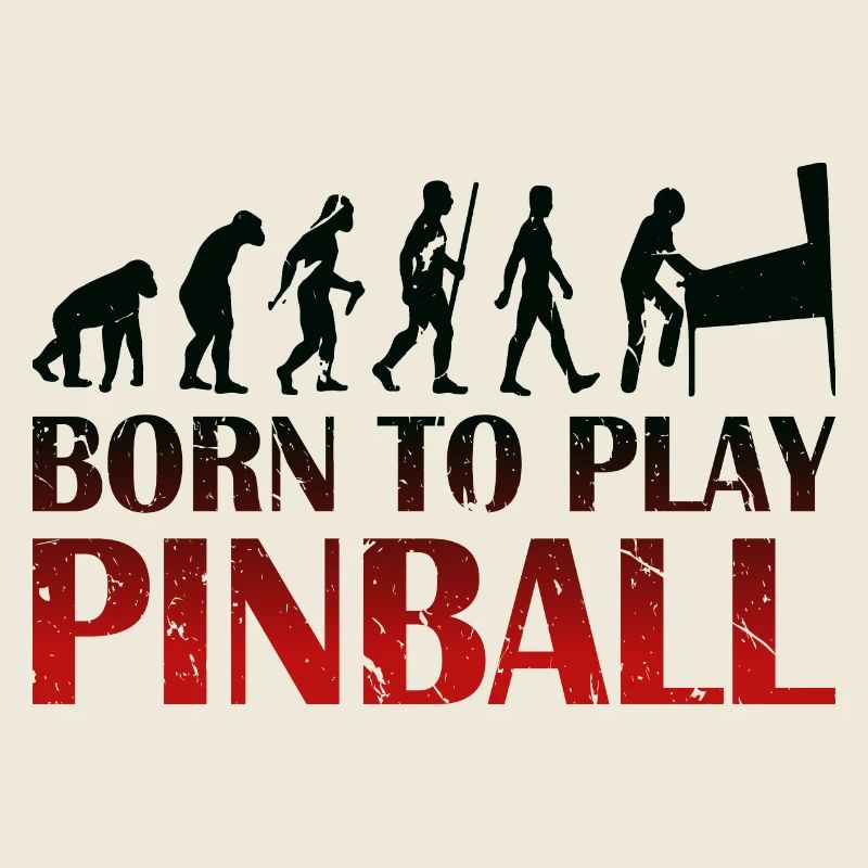 Born to play Pinball - Pinball machine Evolution