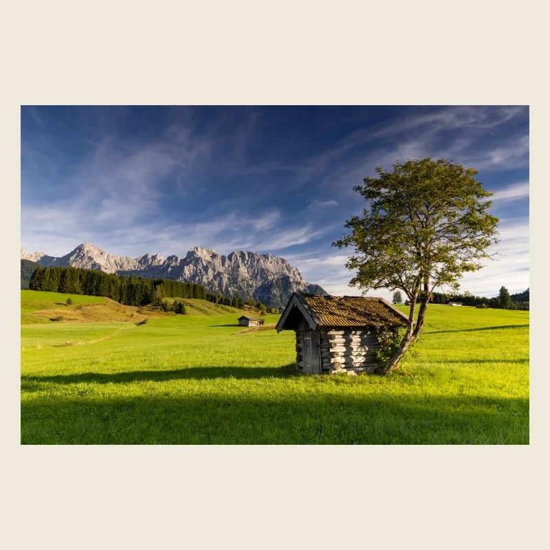 Humpback meadows near Mittenwald
