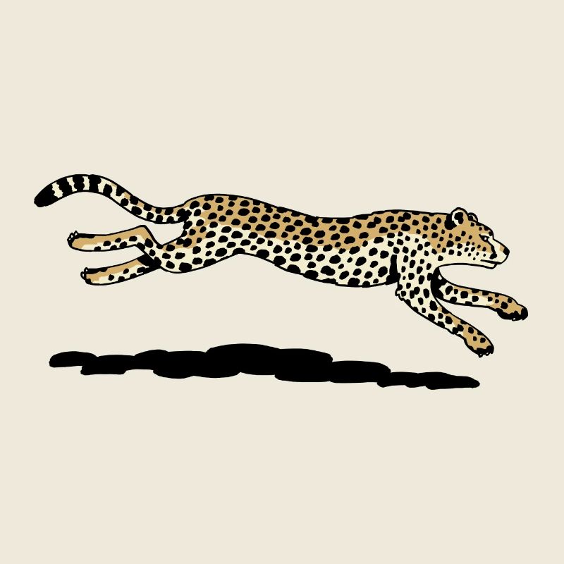 Cheetah