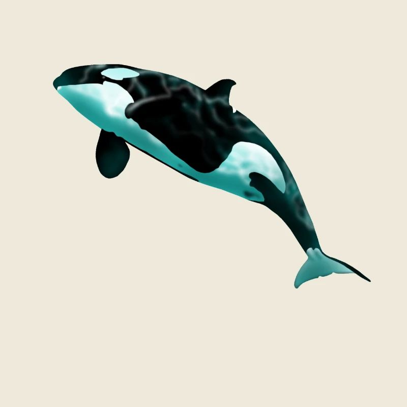 Orca