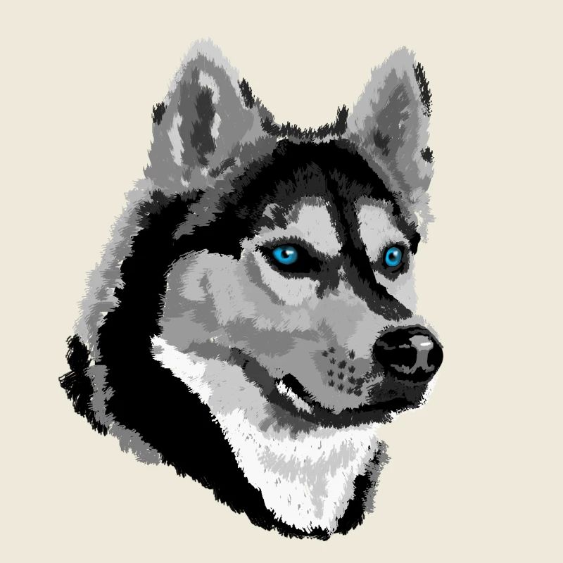 Husky