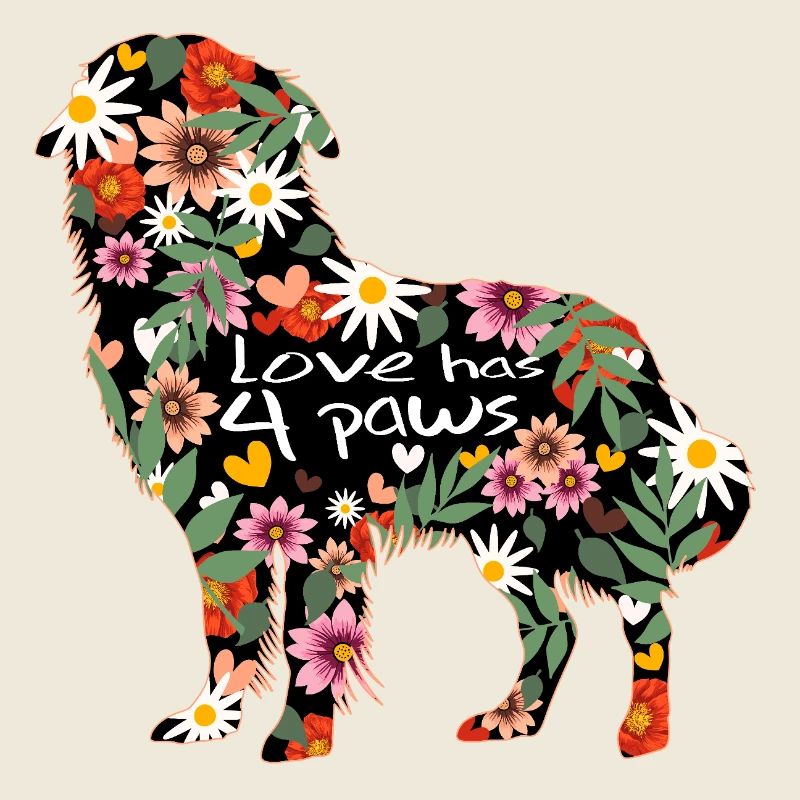 Race de chien Berger australien