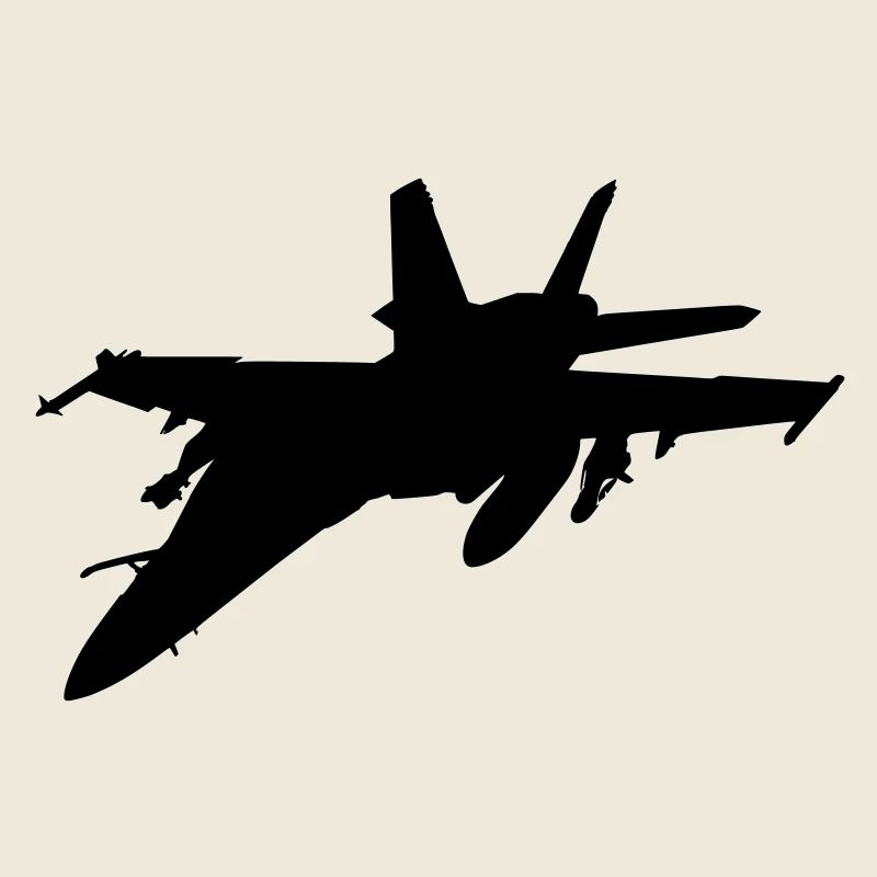 fighter aircraft avion de chasse
