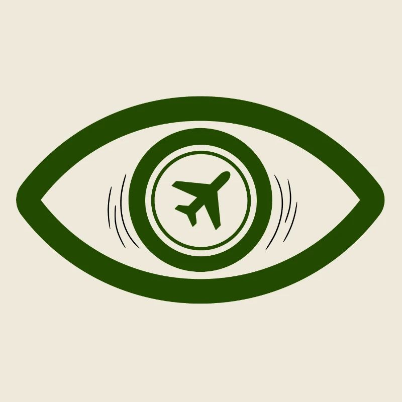 avion militaire dans les yeux