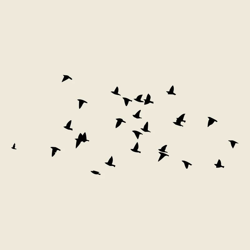 birds