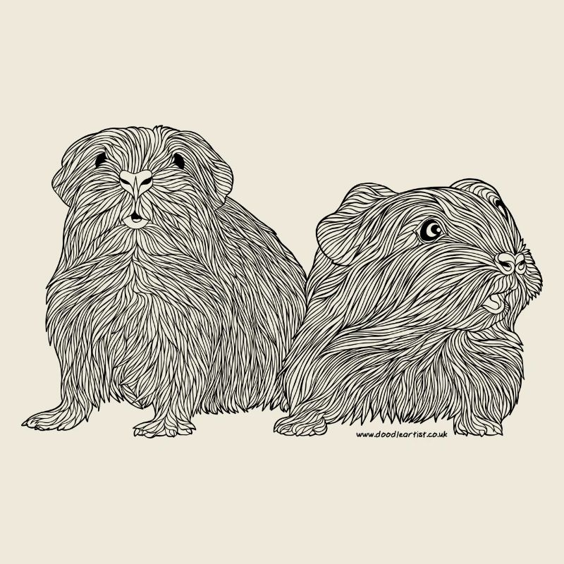 Guinea pig pair