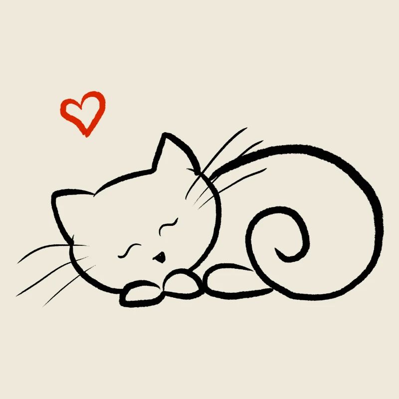 Chaton endormi