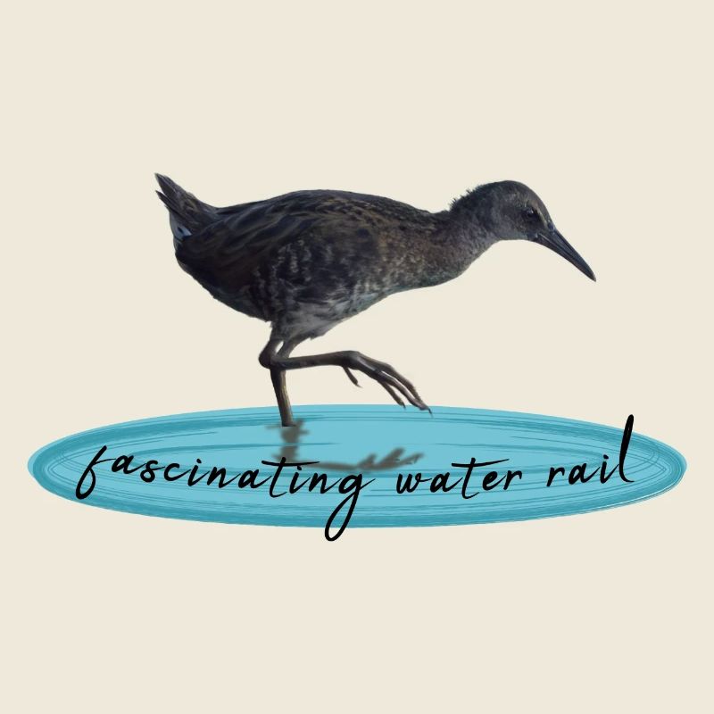water rail
