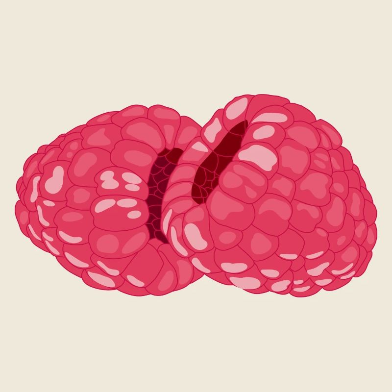 Himbeeren