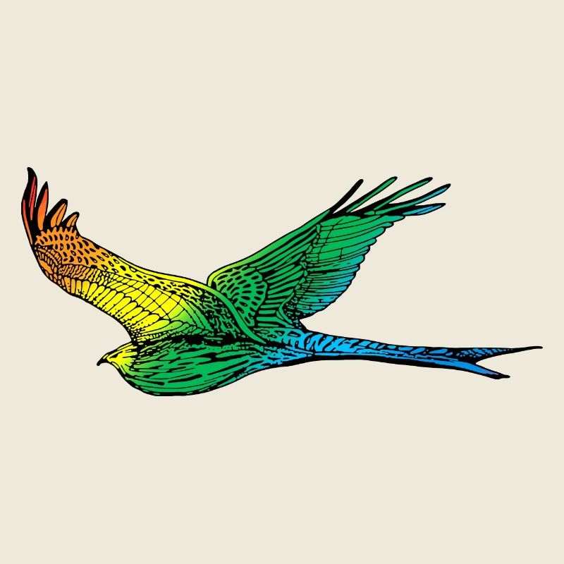 Bird