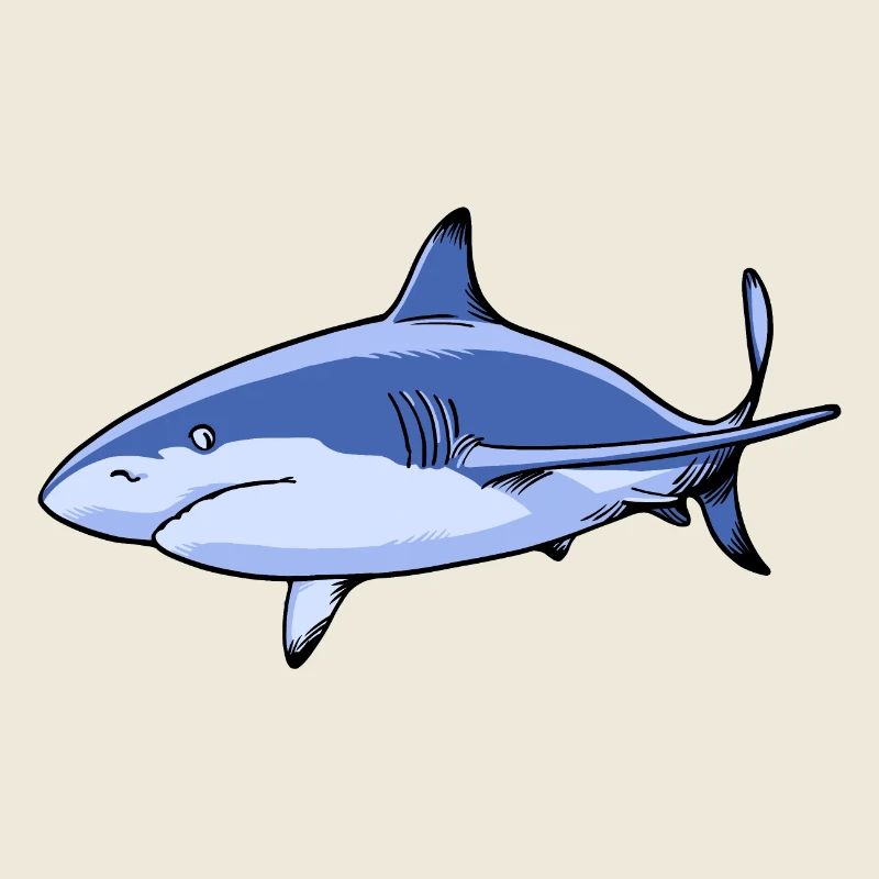 Hai