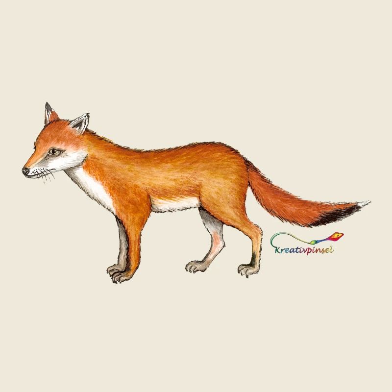Renard (Vulpes vulpes)