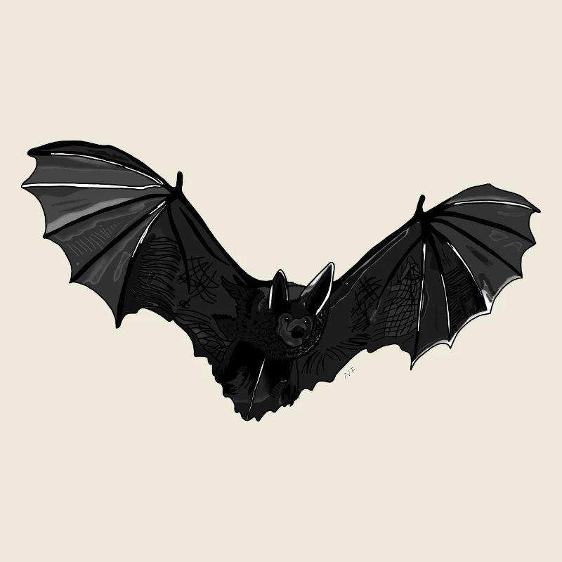 Bat