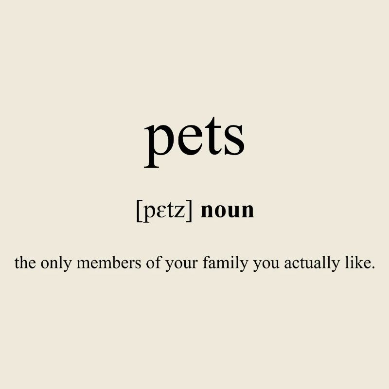 Pets (Haustiere) Definition Dictionary