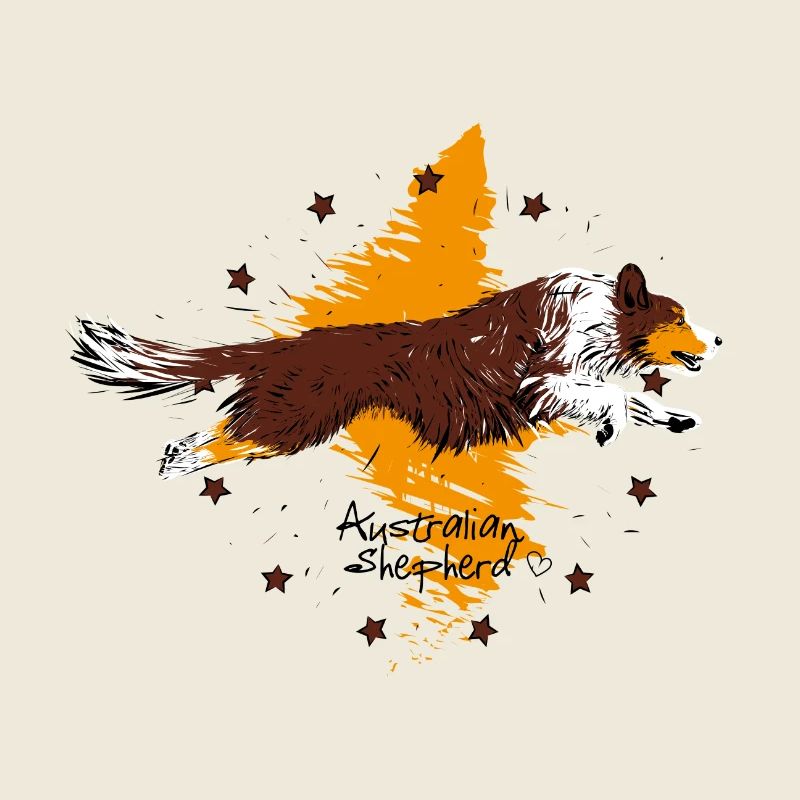 Australian Shepherd, red tri