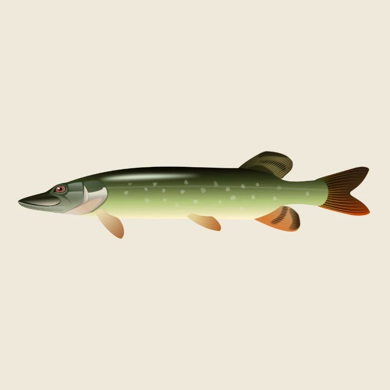 fish15