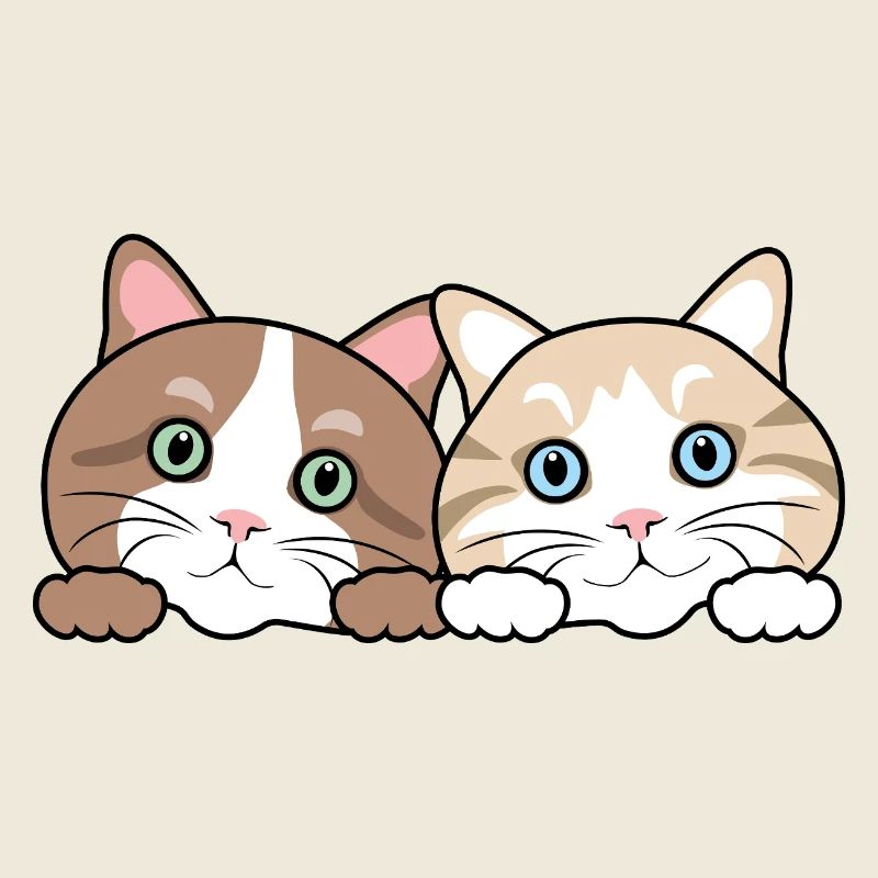Deux chats drôles de regards