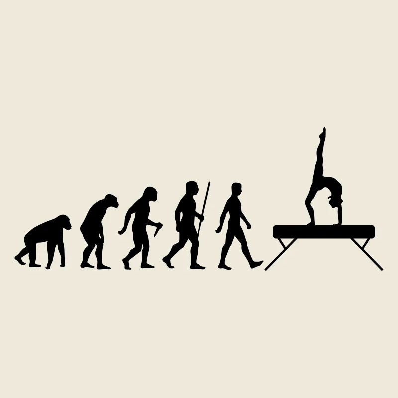 Evolution Schwebebalken