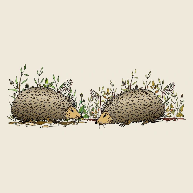 Igel