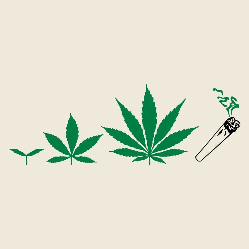 Cannabis development