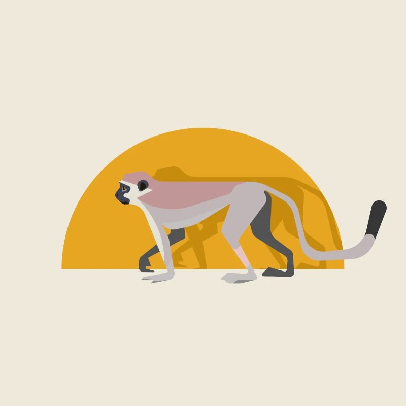 Vervet monkey