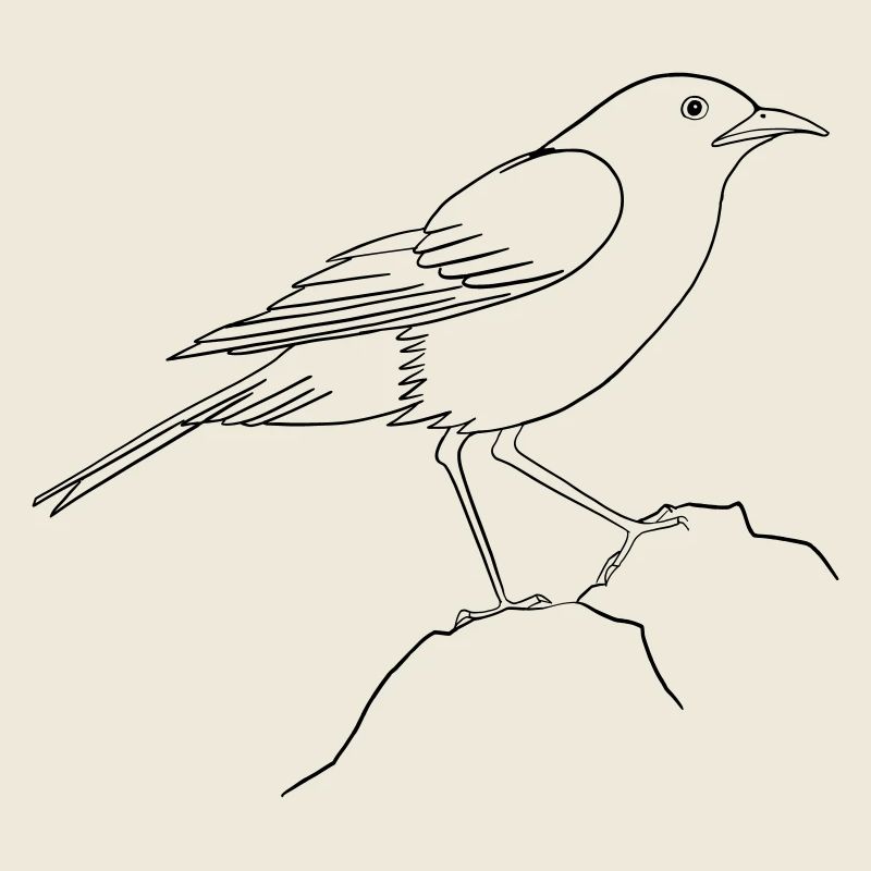 Day of the Bird