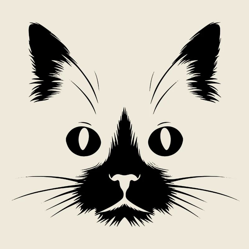 Chat, Motif De Chat