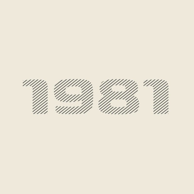Geboren 1981 Retro Stripe Modernes Geburtstagsdesign