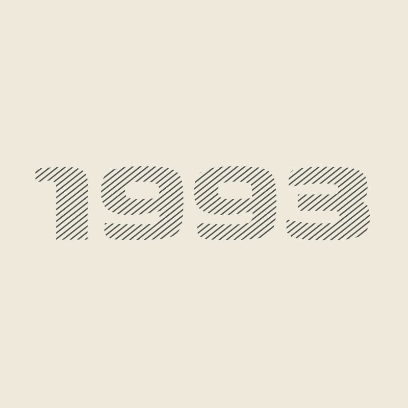 Geboren 1993 Retro Stripe Modernes Geburtstagsdesign