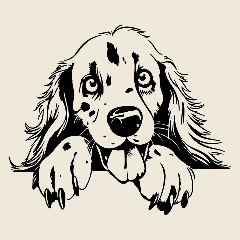 Cute Setter