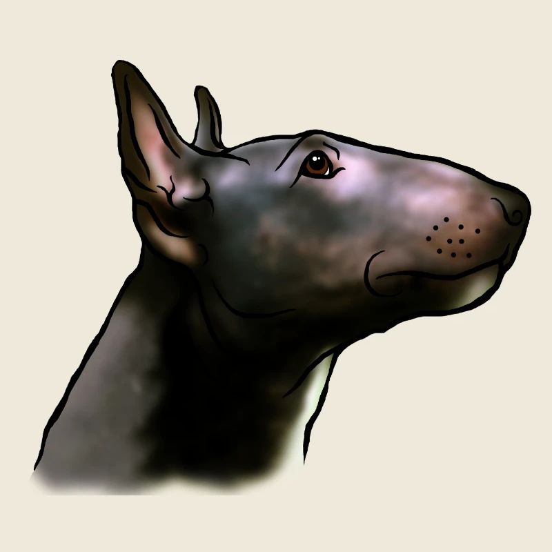 Bullterrier Kopf im Profil Comicstyle