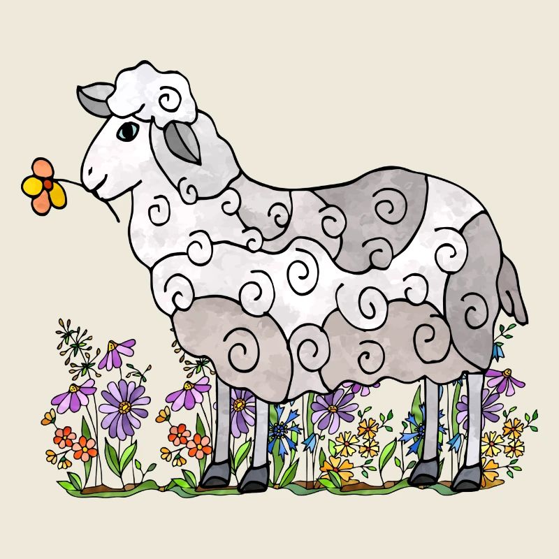 Sheep