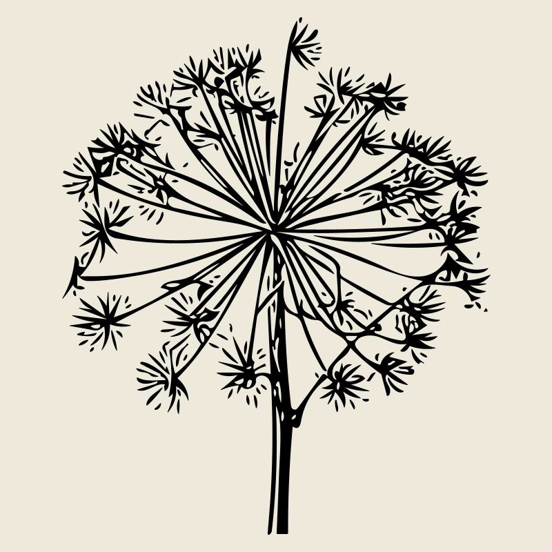 Pusteblume