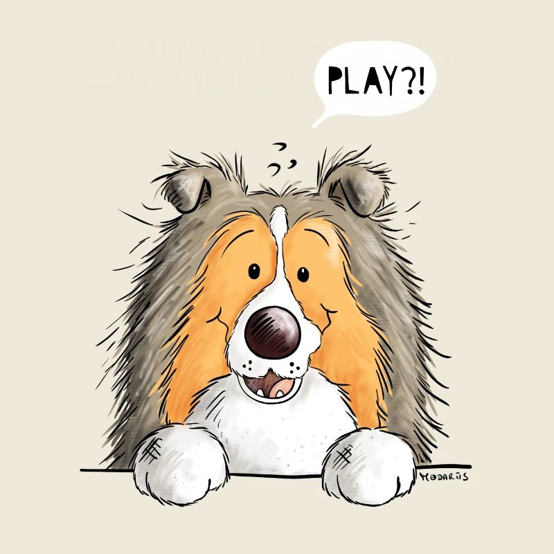 Sheltie denkt sich Play